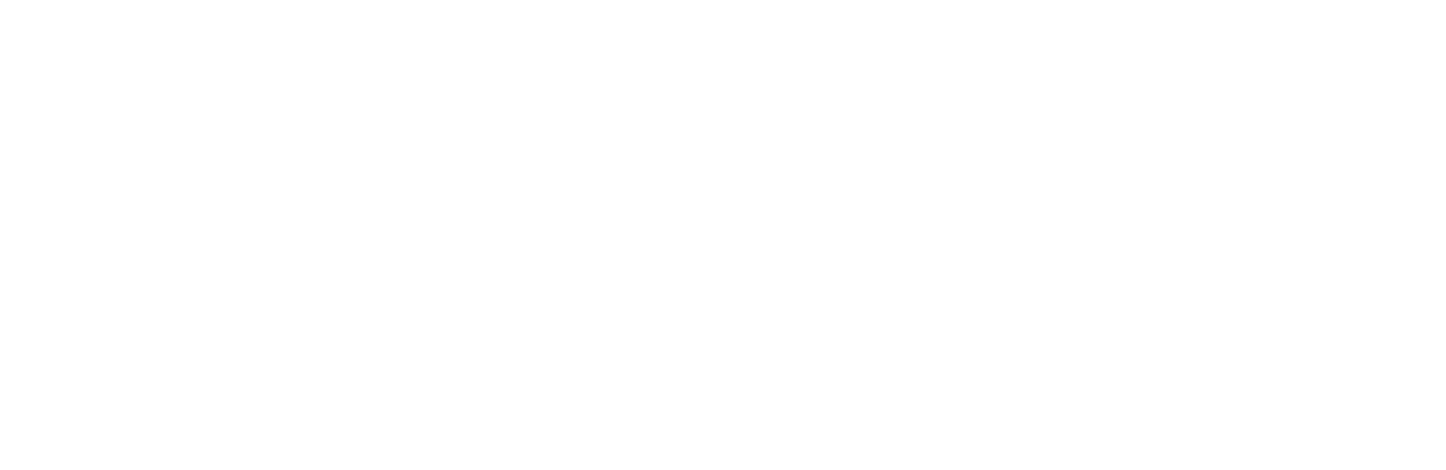 Elevate Your Grilling Game