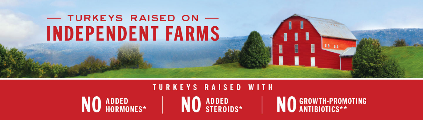 Turkey raised on Independent Farms