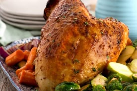 roasted bone-in turkey breast